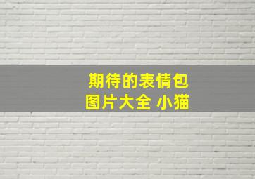 期待的表情包图片大全 小猫